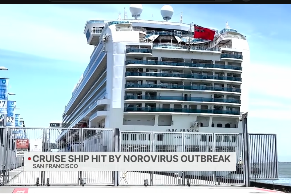 New norovirus outbreak hits Princess Cruises again