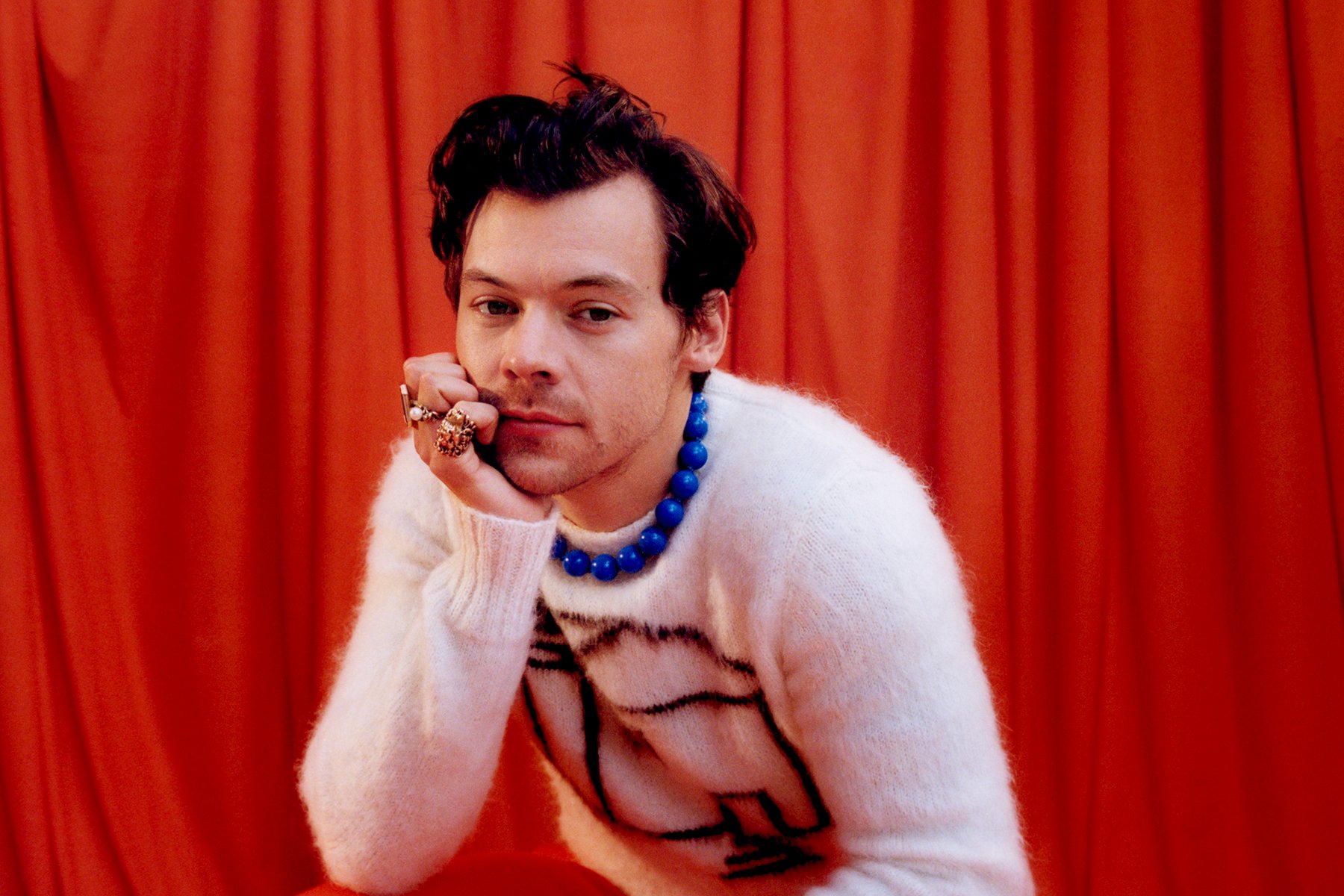 harry house