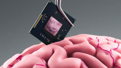 Meet the Folks Lining Up for Elon Musk's Brain Implant