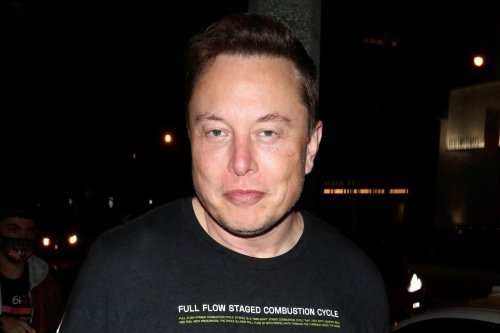SpaceX Flight Attendant Says Elon Musk Exposed Himself, Offered Her a Horse: Report