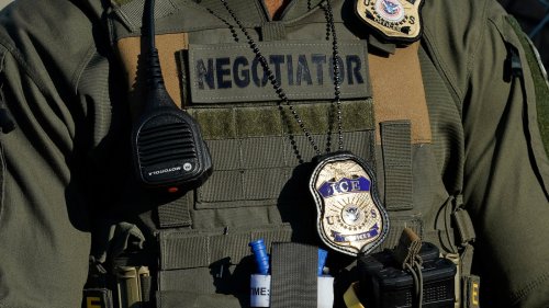 Trump's ICE Used a Woman's Kids and Grandchild as 'Bait' To Arrest Her