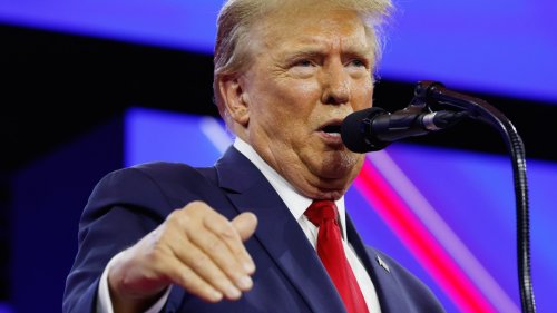 Self-Proclaimed 'Dissident' Trump Rails on Newsom, Calls Migrants' Languages a 'Horrible Thing'