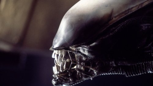 New 'Alien' Film Gets Greenlight