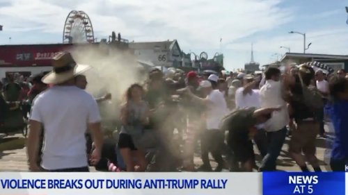 Video Shows Man in MAGA Hat Blasting Anti-Trump Protesters With Bear Repellent
