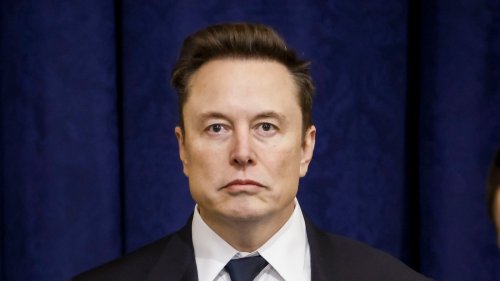 Elon Musk Complains About 'Paid' Protests on Call About Tesla's Poor Earnings