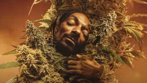 Snoop Dogg Drops Trippy 'Last Dance With Mary Jane' Video to Celebrate 4/20