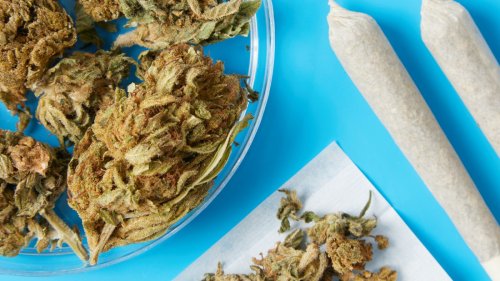 Minnesota Lawmaker Needs to Roll Smaller Joints