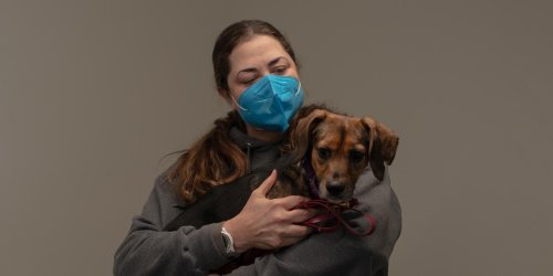 1,000 Dogs Are Put Down Every Day. These Trainers Are Trying to Save Them
