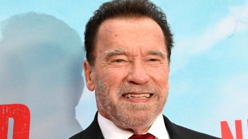 Arnold Schwarzenegger Wants to 'Rephrase' Climate Change, Focus on Pollution