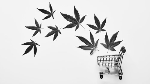 Cannabis Brands Can Now Advertise on Twitter -- But Should They Just Say No?