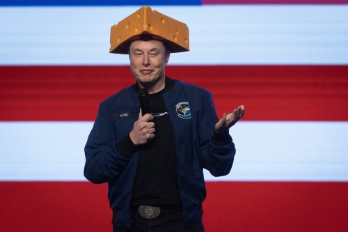Elon Musk: Proteste gegen Tesla sind bezahlt