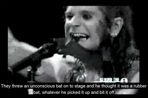 „Der schlimmste Nachgeschmack“ – Ozzy Osbourne beißt Fledermaus den Kopf ab