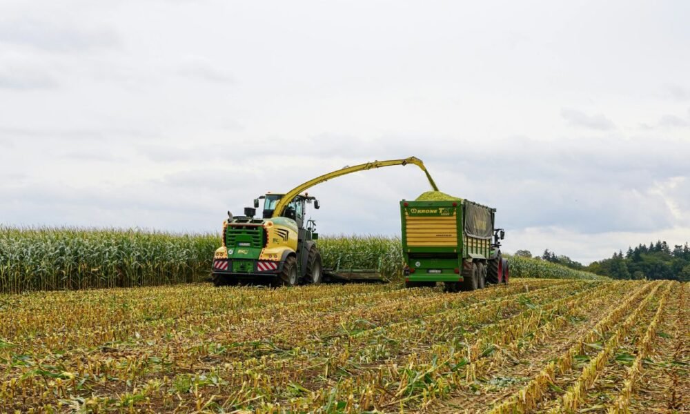 NGT : l’Europe ouvre la porte aux « super-plantes »