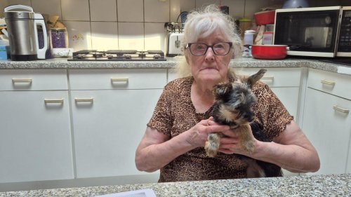 Lucie, 78 ans, victime d’une nouvelle forme d’arnaque à Mouscron : « Ils m’ont pris 23 000 euros, j’en ai pleuré pendant trois jours »