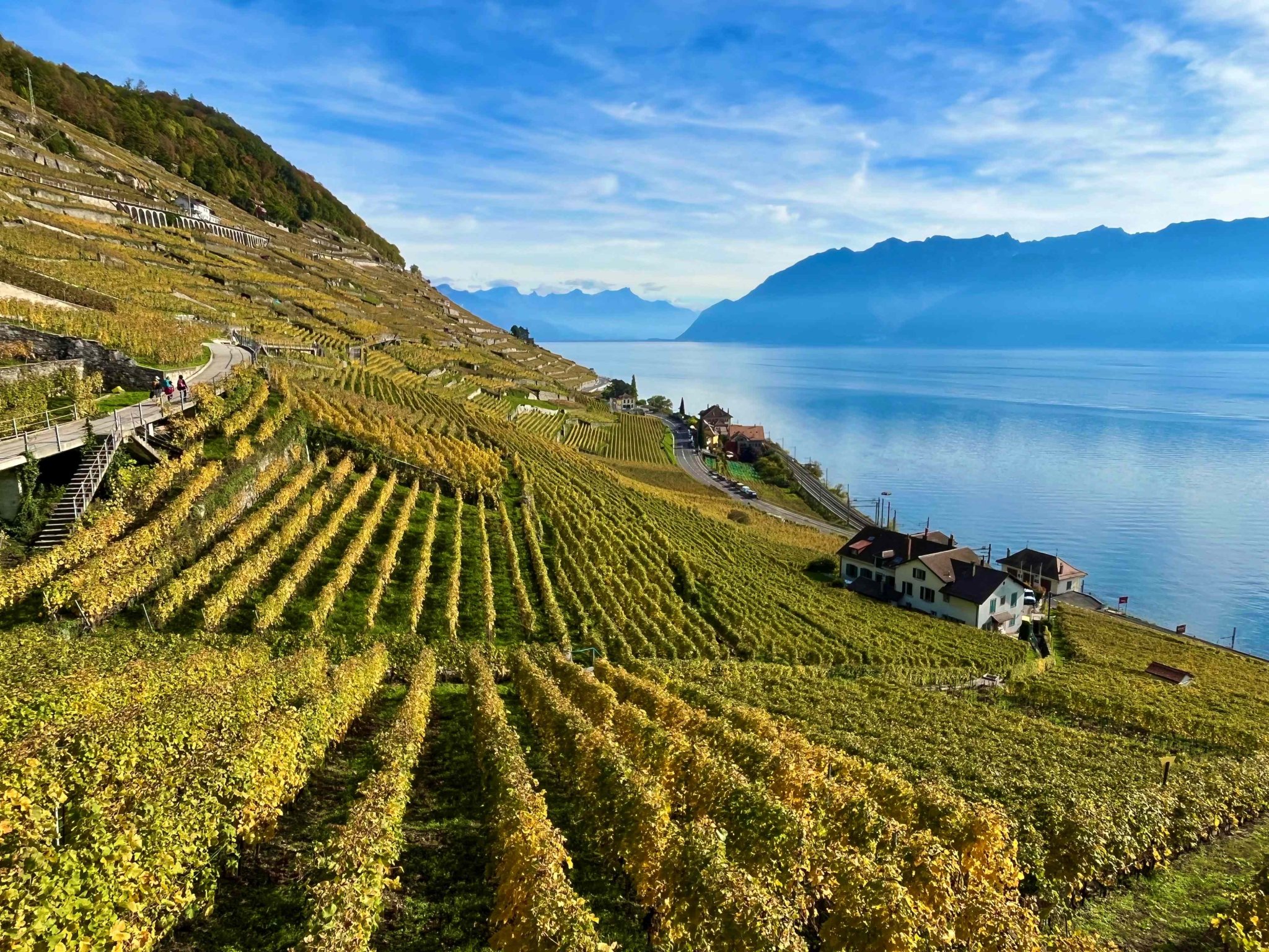 Suisse – Lavaux : une randonnée au coeur d’un vignoble inscrit à l’UNESCO