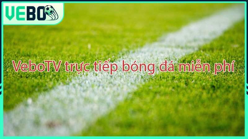 Vebo TV cover image