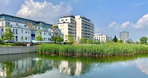Erschließungskosten in Düsseldorf: Anwohner müssen vier Jahre nach der Eröffnung für Belsenpark zahlen
