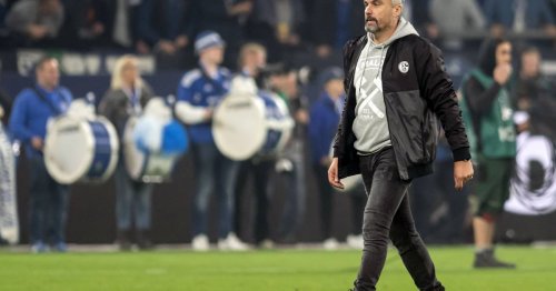 Reis-Entlassung: Schalke 04 wird seinem Ruf als Chaosverein wieder gerecht