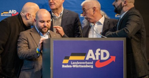Eskalation in Rottweil: Chaos, Geschrei und Tumult bei AfD-Landesparteitag