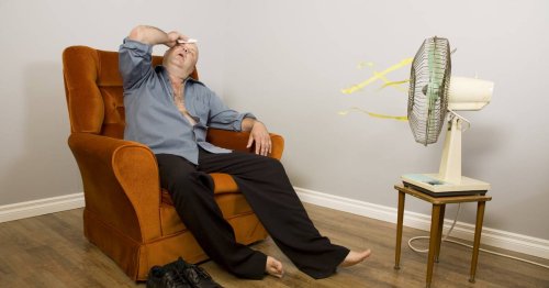 Elf Mythen über Hitze: Diese Abkühlungs-Tipps helfen wirklich – und diese nicht