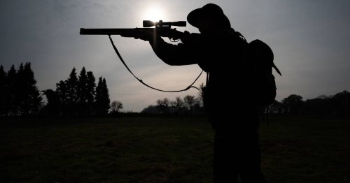 Mehrwertsteuer auf Pachtpreise: Die Jagd in Mönchengladbach wird teurer