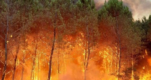 6000 Menschen evakuiert: Zweiter großer Waldbrand innerhalb weniger Wochen in Südwestfrankreich