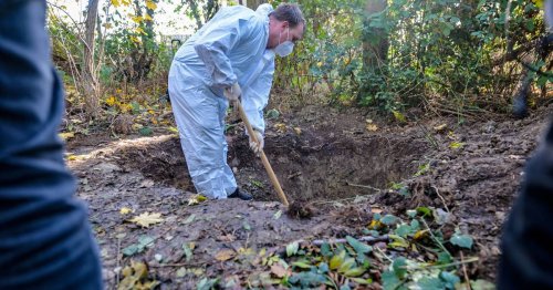 Mordfall Kazim Tatar: Die Leiche lag einen Meter tief im Wald vergraben