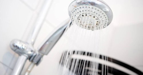 Steigende Infektionszahlen: Legionellen – Gefahr aus der Dusche