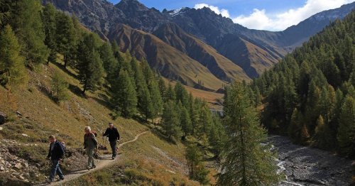 Schweiz: Im Tal der röhrenden Hirsche