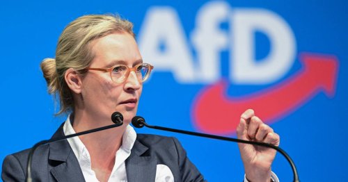 Zehn Jahre nach Parteigründung: AfD-Chefin Weidel strebt Regierungsbeteiligung in Ländern an