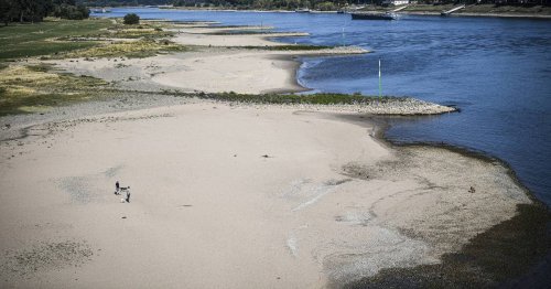 Pegel von unter 50 Zentimetern: Was das Niedrigwasser des Rheins in Düsseldorf für Folgen hat