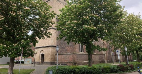 Rheinberger Pfarreirat verliest Stellungnahmen in den Kirchen: St. Peter kritisiert Umgang mit Missbrauch
