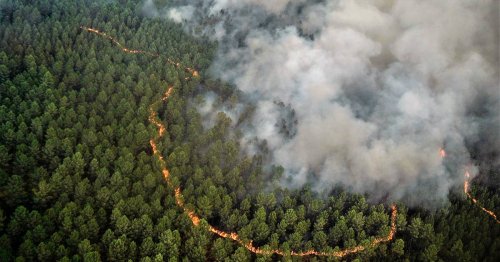 Hilfe bei den Waldbränden in Bordeaux: Bonner Feuerwehrleute kämpfen bei 40 Grad gegen Feuersbrunst