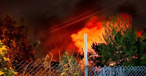 Feuer in Grevenbroich: Feuerwehr rettet 30 Vögel aus brennender Gartenanlage