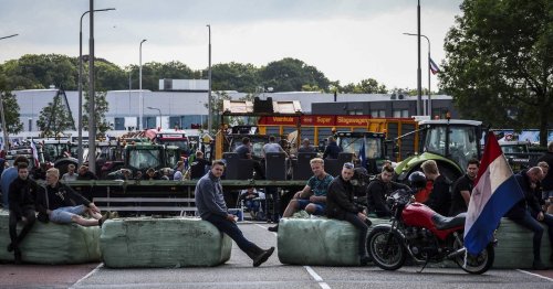 Landesweiter Protest in den Niederlanden: Hunderte Landwirte blockieren Großlager von Supermärkten