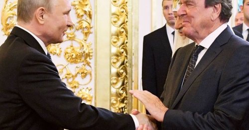 Kreml reagiert erfreut: Schröder verteidigt Freundschaft zu Putin