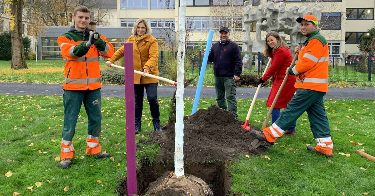 400 Obstbäume gehen an Kleingartenvereine: Dinslaken pflanzt zum Stadtjubiläum 750 Bäume
