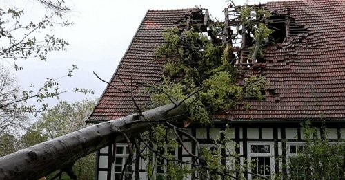 Ungemütliches Wetter: Sturmschäden in NRW – es bleibt weiter windig