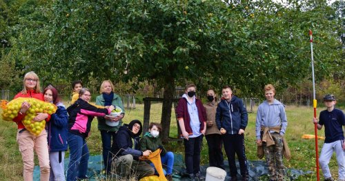 Ökologisches Projekt in Radevormwald: Rekord-Ernte auf Herbecker Obstwiese