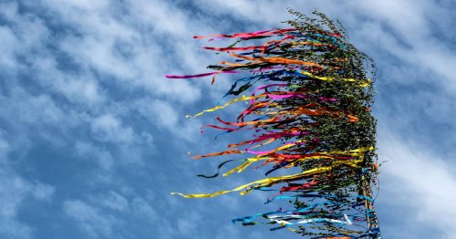 Auf eigene Faust fällen – lieber nicht: Das Wichtigste zur Maibaum-Tradition im Rheinland