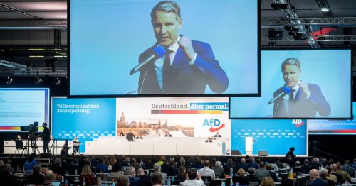 Wahlprogramm zur Bundestagswahl: Wie die AfD Deutschland verändern will