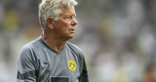 Gesundheitliche Gründe: Co-Trainer Hermann verlässt Dortmund und beendet Karriere