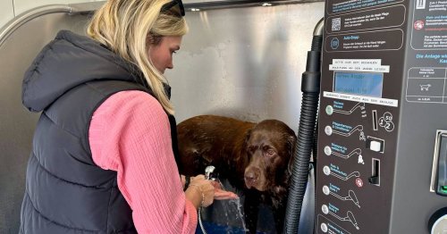 Neueröffnung in Grevenbroich: Erste Waschstraße für Hunde gestartet