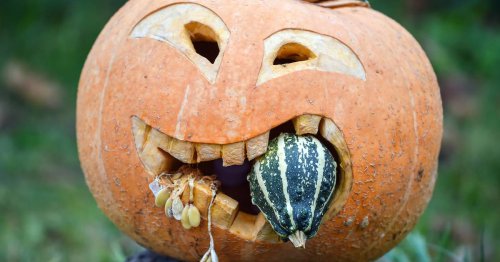 Halloween-Deko, Nähen und Tanzen: Diese Herbstferien-Kurse bietet die VHS im Kreis Heinsberg an
