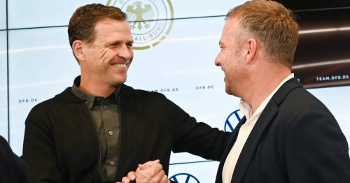 Nach DFB-Aus: Wer wird Bierhoffs Nachfolger - und was wird aus Flick?