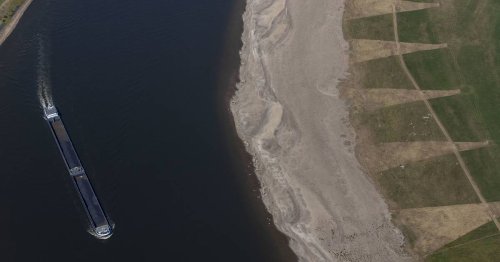 Folgen des Klimawandels: Niedrigwasser im Rhein zeigt, wie Krisen unserer Zeit zusammenhängen