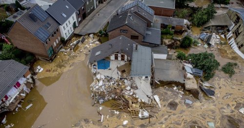 Übung für den Ernstfall: Hochwasserschutzwände in Bonn aufgebaut