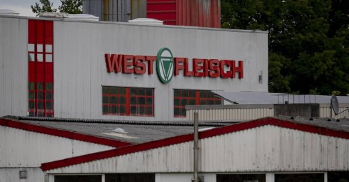 Fleischverarbeiter in NRW: Nach Verdacht auf Tierquälerei - Westfleisch kündigt Maßnahmen an