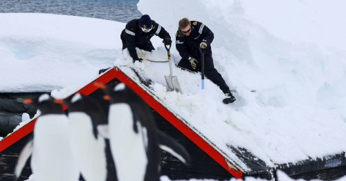 Meterhoher Schnee in der Antarktis: Navy muss entlegenstes Postamt der Welt freischaufeln