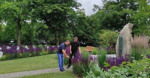 Stadt Ratingen pflanzt neu: Alter Friedhof in Lintorf blüht auf